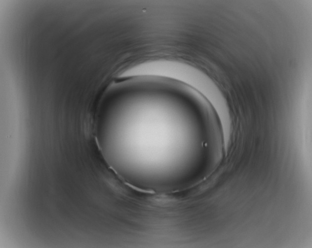 X0000115730421200911191416