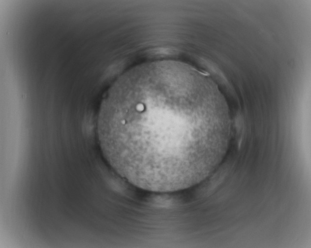 X0000115730423200911191416