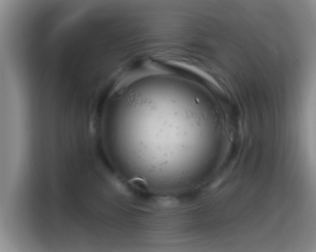 X0000115730424200911191416