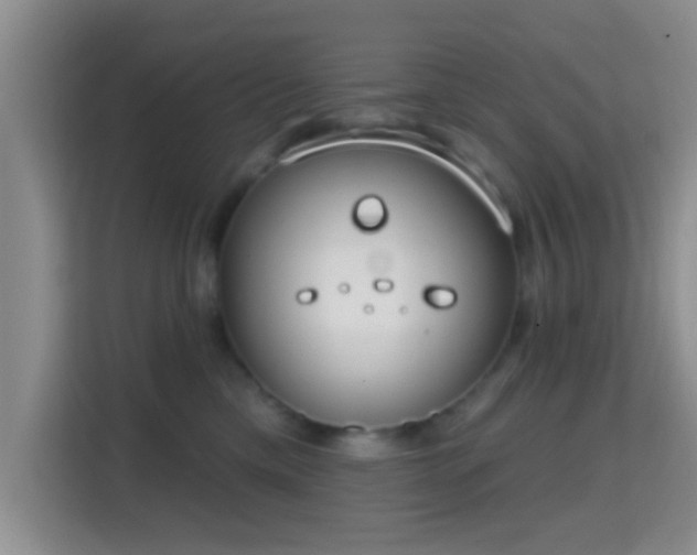 X0000115730425200911191416