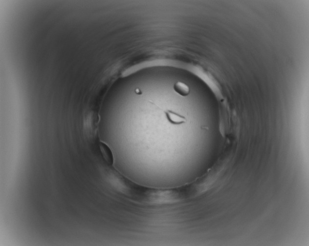 X0000115730428200911191416