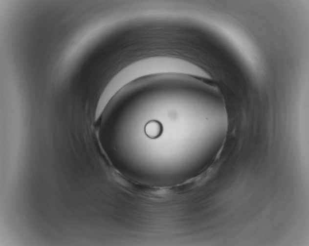 X0000115730431200911191416