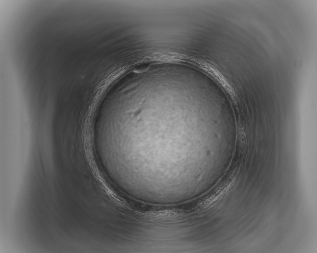 X0000115730433200911191415