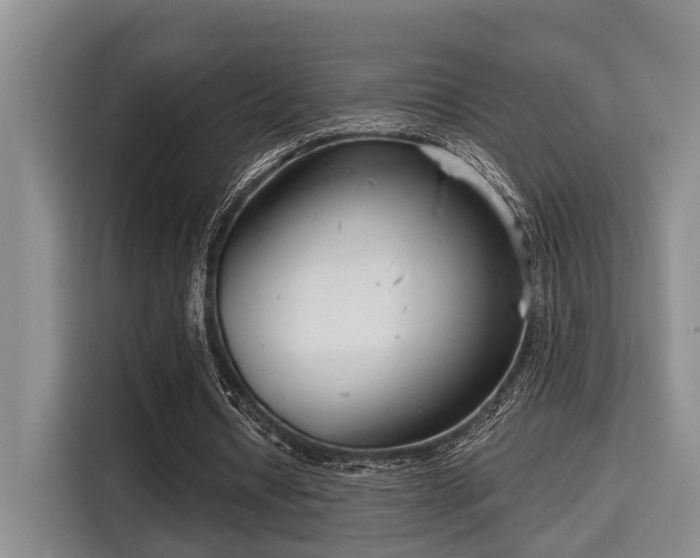 X0000115730434200911191415