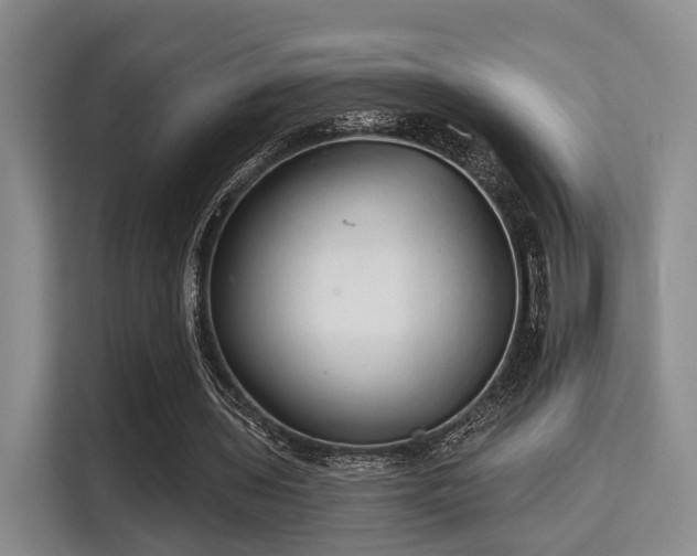 X0000115730435200911191415