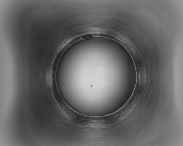 X0000115730436200911191415