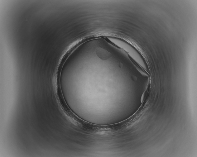 X0000115730438200911191415