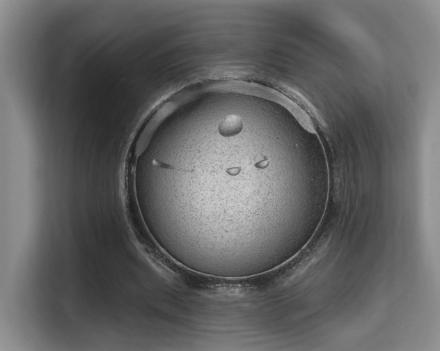 X0000115730439200911191415