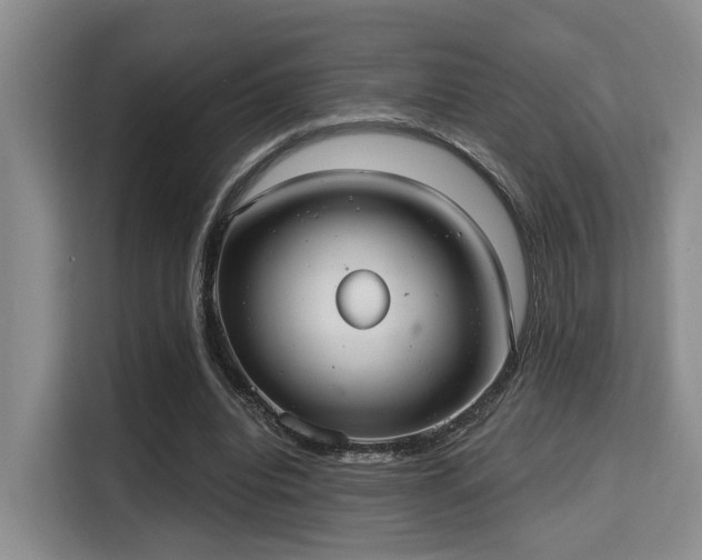 X0000115730440200911191415