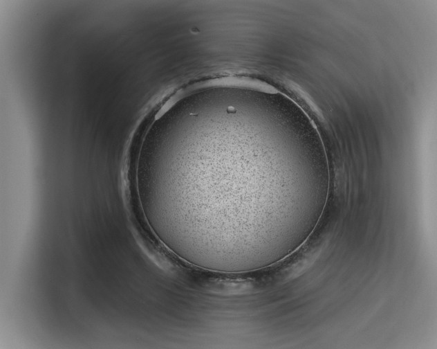 X0000115730443200911191415