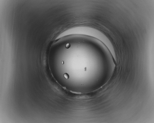 X0000115730452200911191415