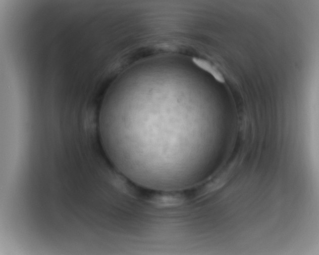 X0000115730466200911191415