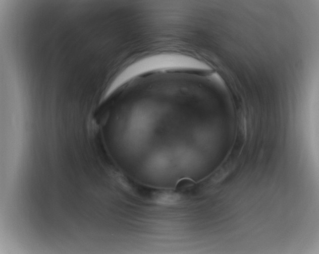 X0000115730471200911191416