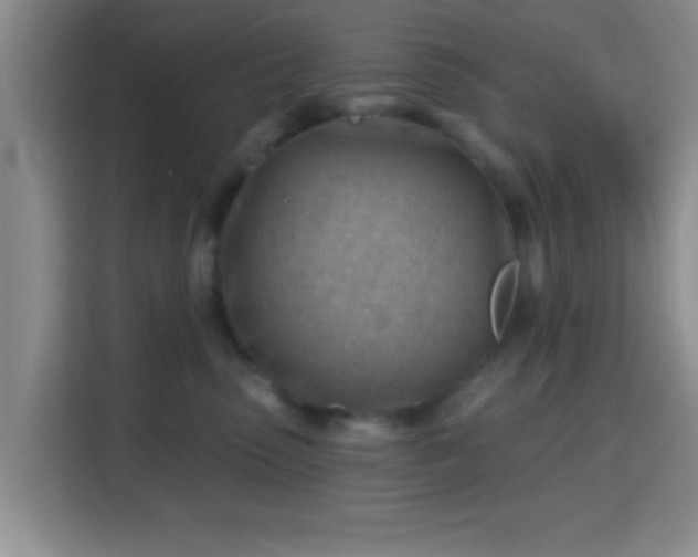 X0000115730475200911191416