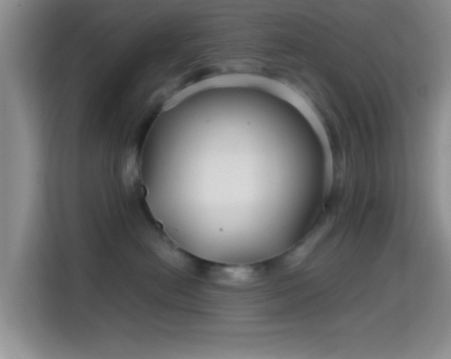 X0000115730478200911191416