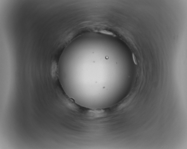 X0000115730480200911191416