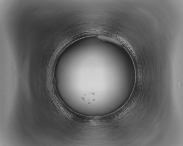 X0000115730481200911191415