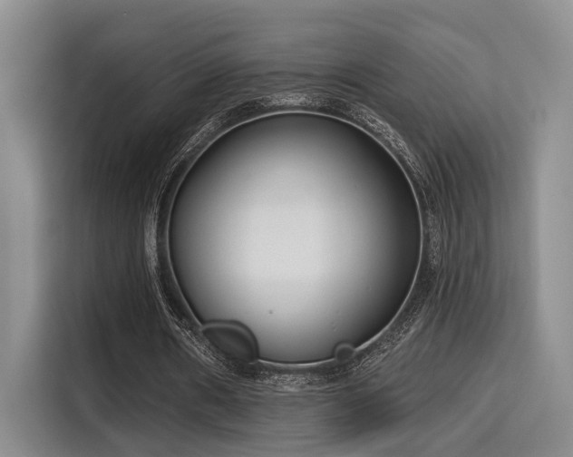 X0000115730482200911191415