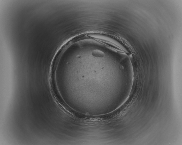 X0000115730484200911191415