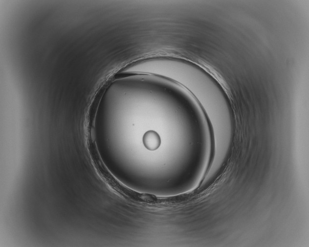 X0000115730485200911191415