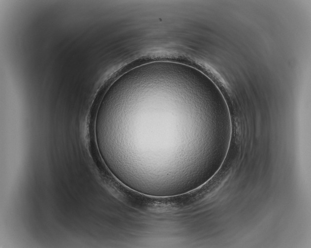 X0000115730487200911191415