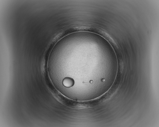 X0000115730490200911191415