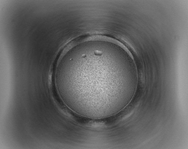 X0000115730491200911191415