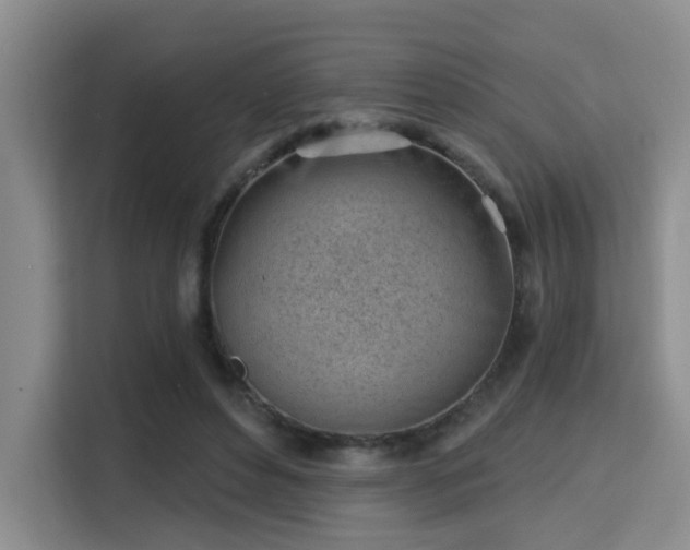 X0000115730496200911191415