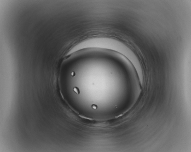 X0000115730505200911191415