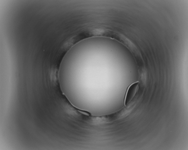 X0000115730525200911191414