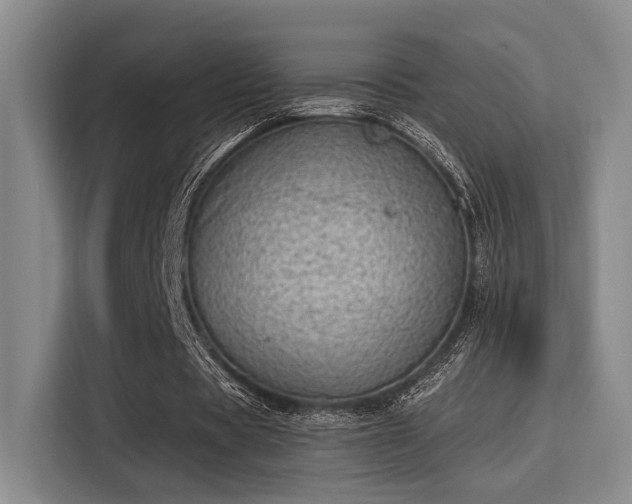 X0000115730529200911191414