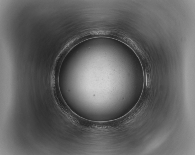 X0000115730531200911191414