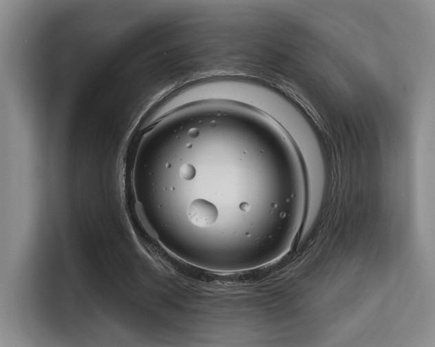 X0000115730534200911191414