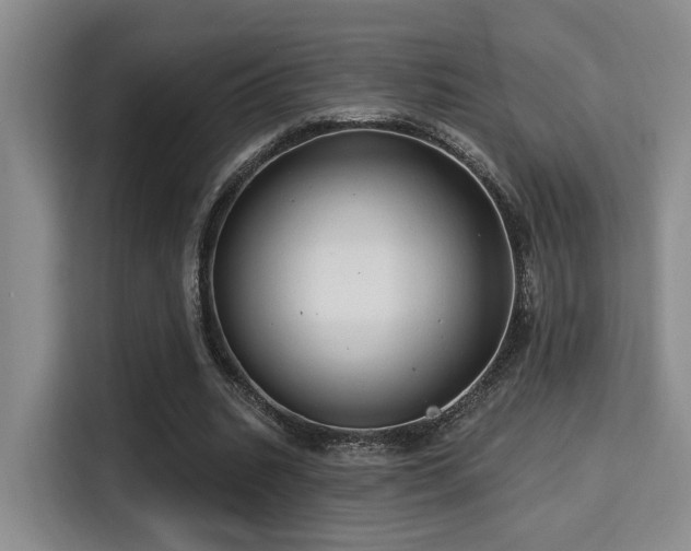 X0000115730535200911191414