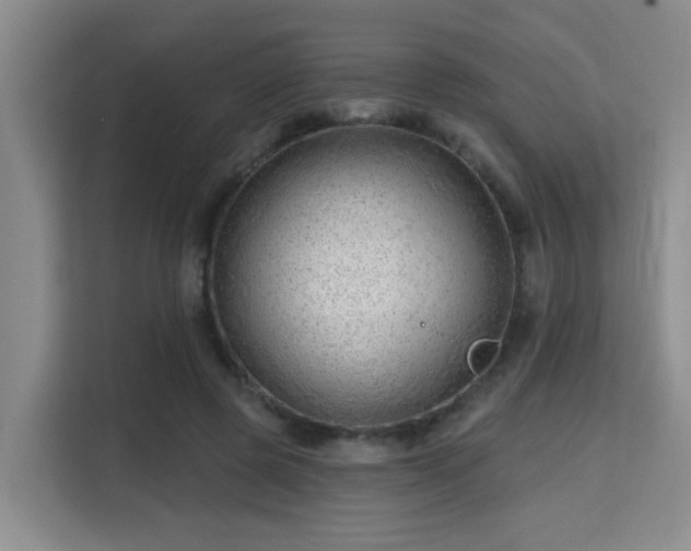 X0000115730545200911191414