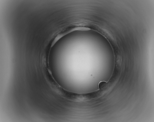 X0000115730547200911191414