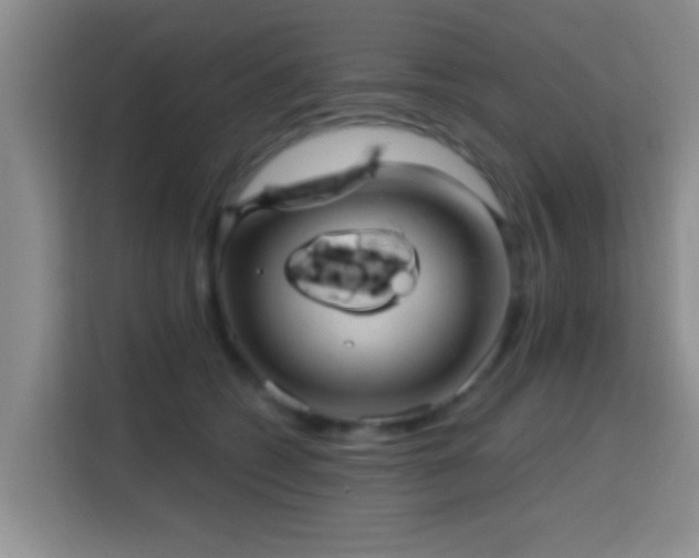 X0000115730562200911191414