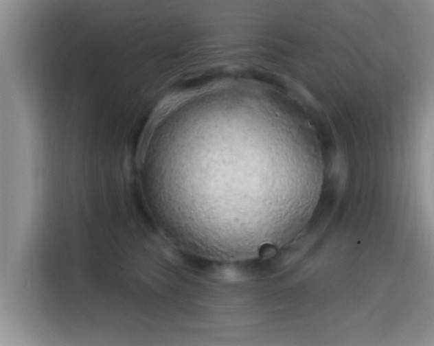 X0000115730565200911191414