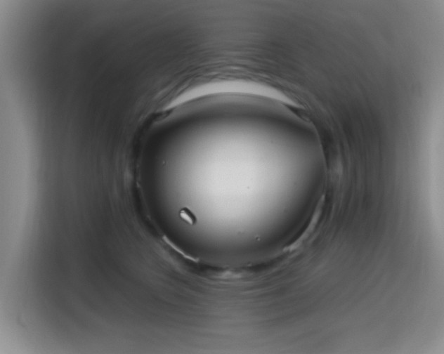 X0000115730566200911191414