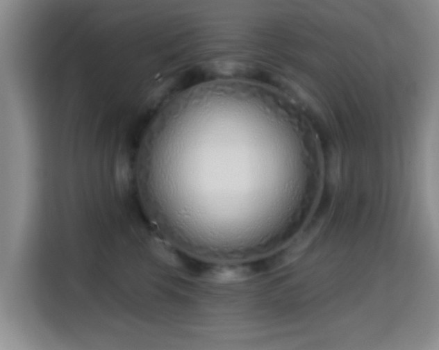 X0000115730569200911191414