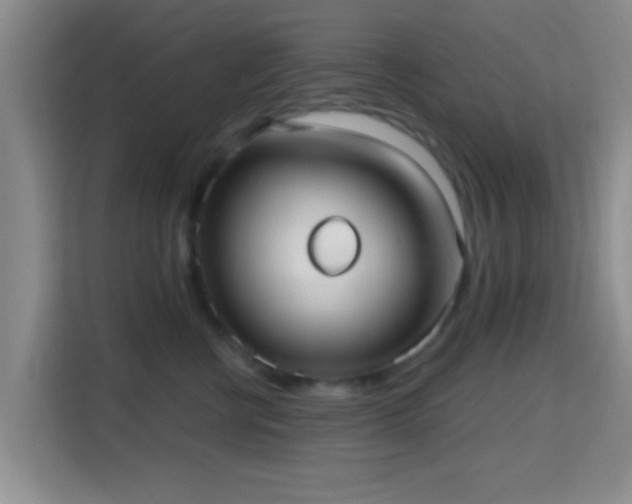 X0000115730570200911191414