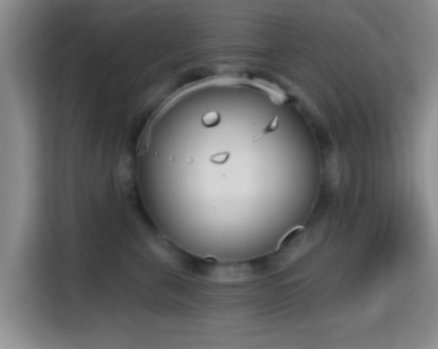 X0000115730571200911191414