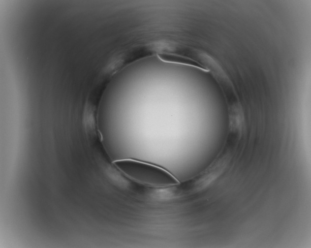 X0000115730573200911191414