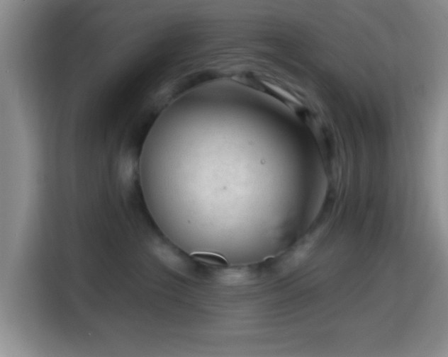 X0000115730574200911191414