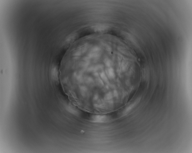 X0000115730575200911191414