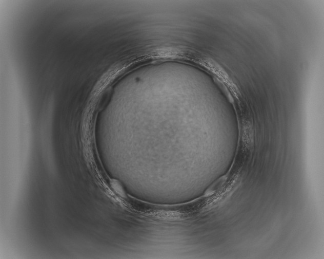 X0000115730577200911191414