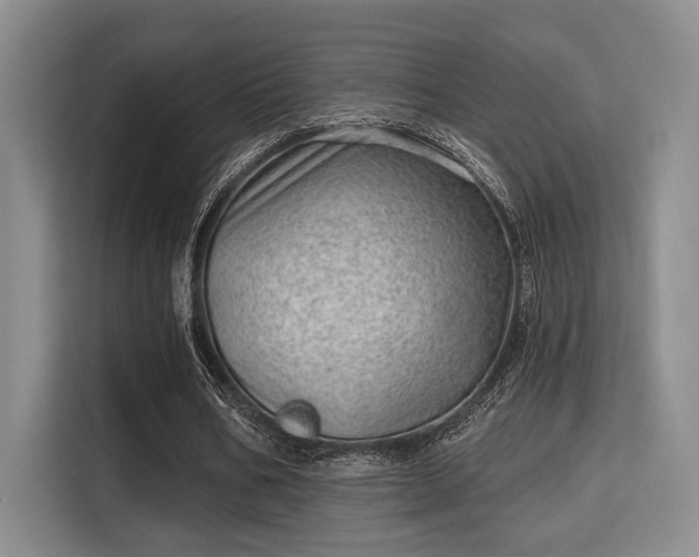 X0000115730578200911191414