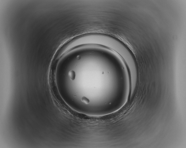 X0000115730579200911191414