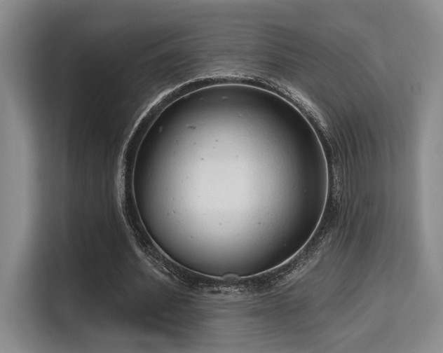 X0000115730580200911191414