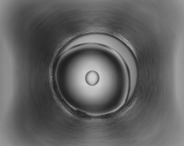 X0000115730581200911191414